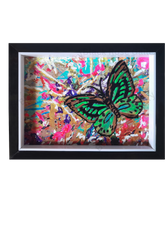 BUTTERFLY SERIES #2 by Dawud Shabazz